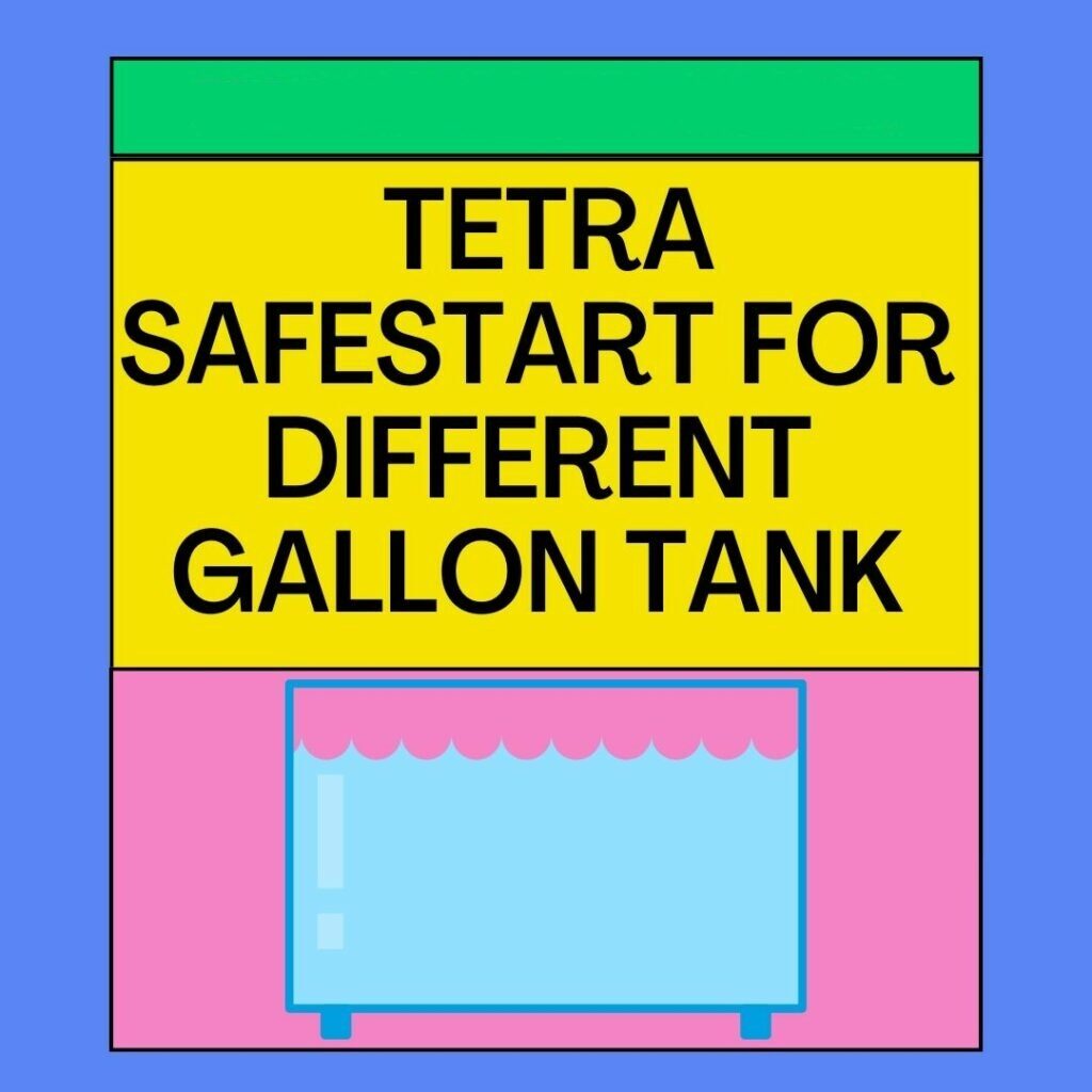 How Much Tetra Safestart for Different Gallon Tanks? [Answered]