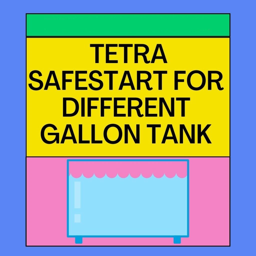 How Much Tetra Safestart for Different Gallon Tanks? [Answered]