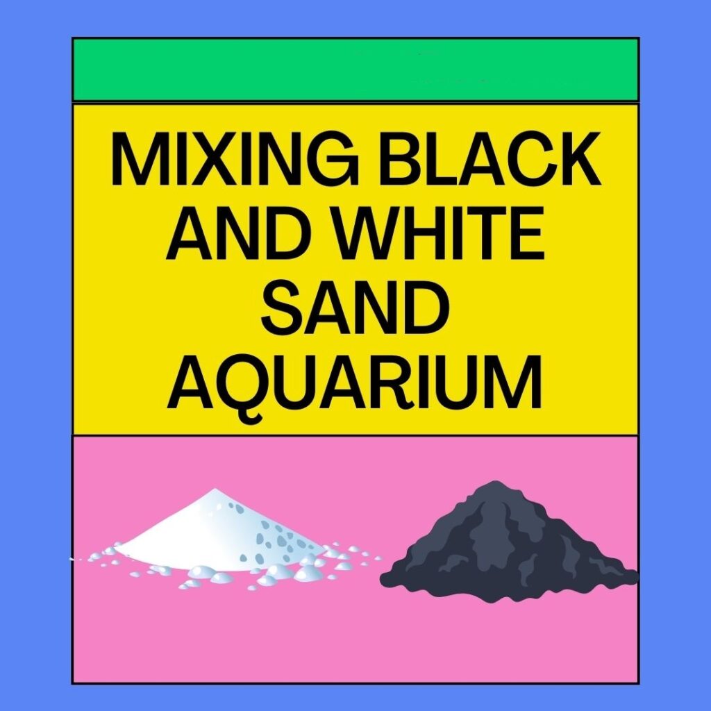 Mixing Black and White Sand Aquarium