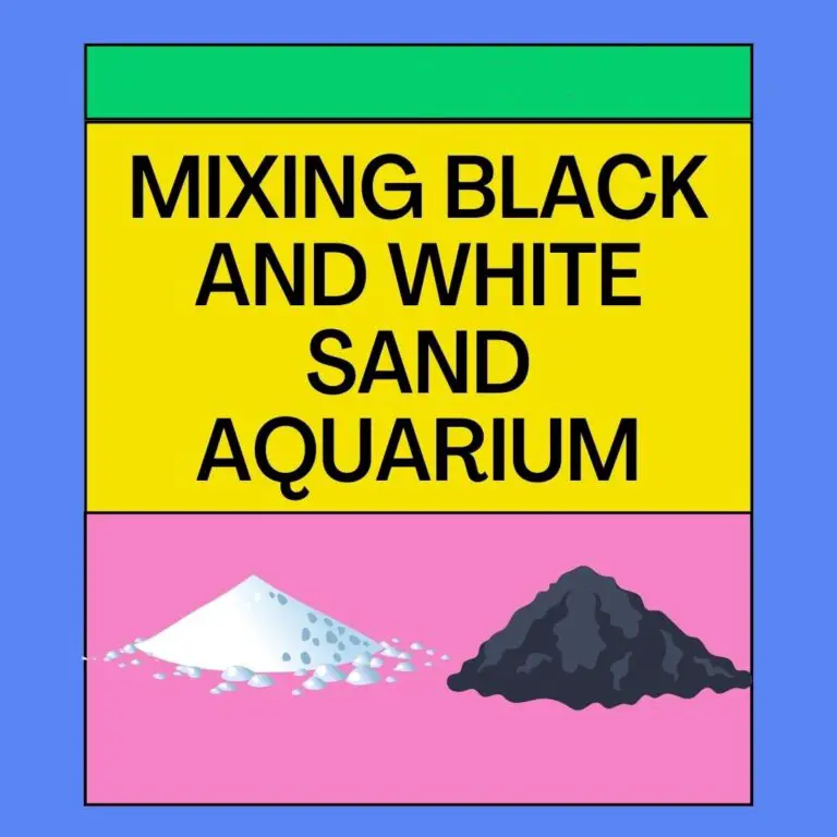 Mixing Black and White Sand Aquarium: 101 Guide
